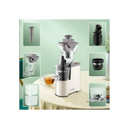 WINNING STAR 300ml Electric Fruit Vegetable Juice Extractor Cold Press Slow Masticating Juicer Machine - Image 2