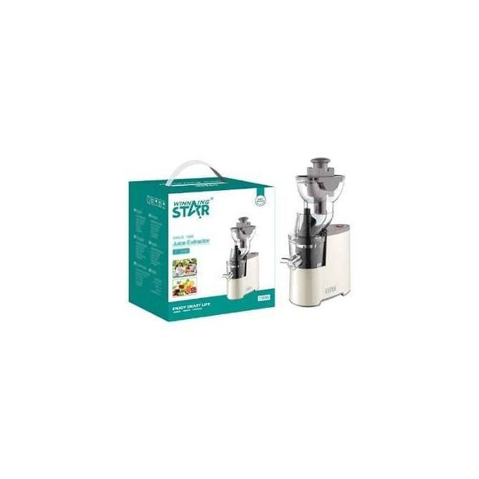 WINNING STAR 300ml Electric Fruit Vegetable Juice Extractor Cold Press Slow Masticating Juicer Machine