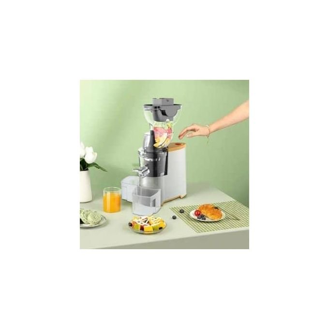 WINNING STAR 300ml Electric Fruit Vegetable Juice Extractor Cold Press Slow Masticating Juicer Machine - Image 3